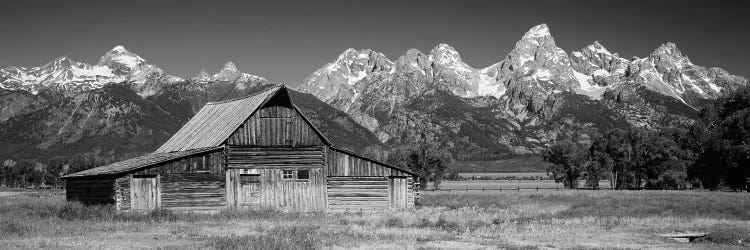 Old Barn On A Landscape, Grand Teton National Park, Wyoming, USA