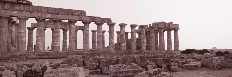 Acropolis Selinunte Archeological Park Italy by Panoramic Images wall art