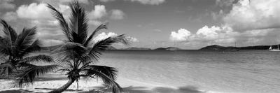 Salomon Beach Us Virgin Islands by Panoramic Images multi panel art