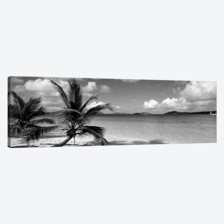 Salomon Beach Us Virgin Islands Canvas Print #PIM15219} by Panoramic Images Art Print