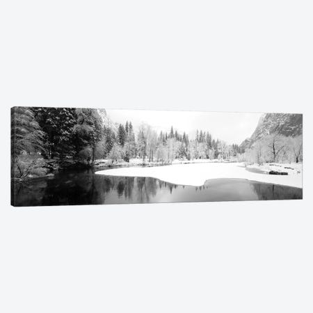 Snow Covered Trees In A Forest, Yosemite National Park, California, USA Canvas Print #PIM15231} by Panoramic Images Art Print
