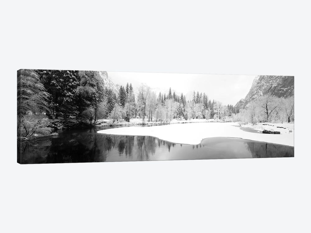 Snow Covered Trees In A Forest, Yosemite National Park, California, USA by Panoramic Images 1-piece Art Print