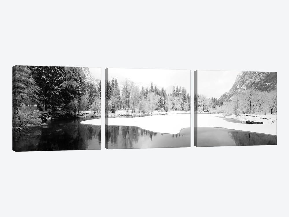 Snow Covered Trees In A Forest, Yosemite National Park, California, USA by Panoramic Images 3-piece Art Print