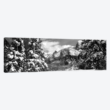 Snowy Trees In Winter, Yosemite Valley, Yosemite National Park, California, USA Canvas Print #PIM15233} by Panoramic Images Art Print