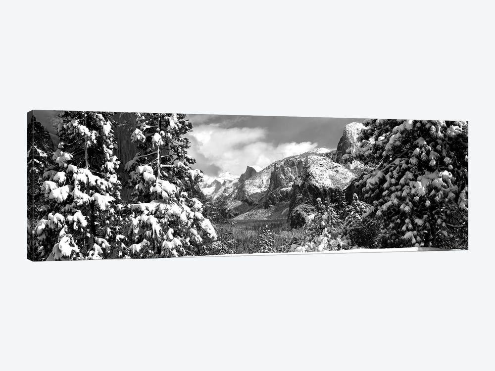 Snowy Trees In Winter, Yosemite Valley, Yosemite National Park, California, USA by Panoramic Images 1-piece Canvas Print