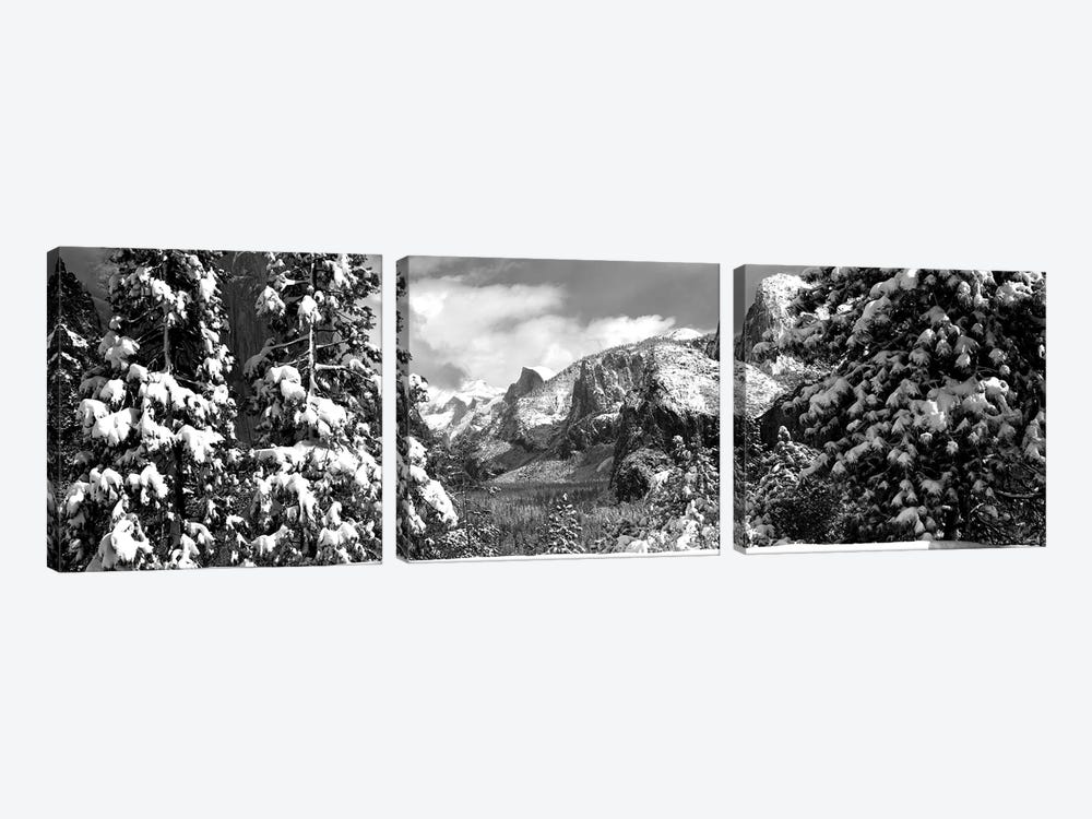 Snowy Trees In Winter, Yosemite Valley, Yosemite National Park, California, USA by Panoramic Images 3-piece Canvas Print