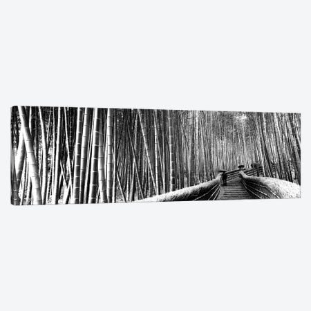 Stepped Walkway Passing Through A Bamboo Forest, Arashiyama, Kyoto Prefecture, Kinki Region, Honshu, Japan Canvas Print #PIM15238} by Panoramic Images Canvas Print