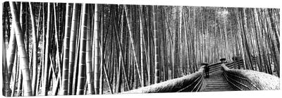 Stepped Walkway Passing Through A Bamboo Forest, Arashiyama, Kyoto Prefecture, Kinki Region, Honshu, Japan Canvas Art Print - Natural Wonders
