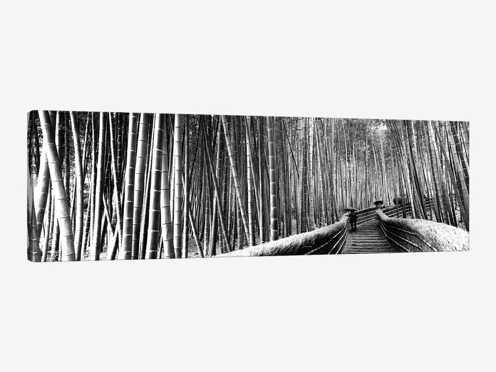 Stepped Walkway Passing Through A Bamboo Forest, Arashiyama, Kyoto Prefecture, Kinki Region, Honshu, Japan by Panoramic Images 1-piece Canvas Artwork