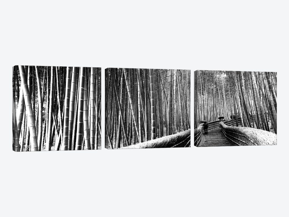Stepped Walkway Passing Through A Bamboo Forest, Arashiyama, Kyoto Prefecture, Kinki Region, Honshu, Japan by Panoramic Images 3-piece Canvas Art