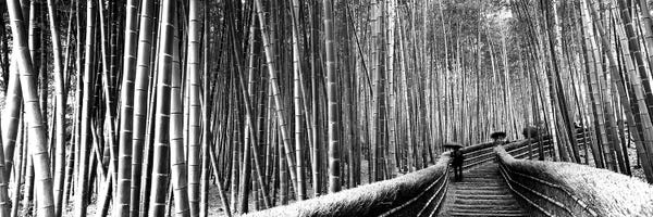 Bamboo: Stepped Walkway Passing Through A Bamboo Forest, Arashiyama, Kyoto Prefecture, Kinki Region, Honshu, Japan by Panoramic Images
