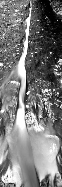 Stream Flowing Through Rocks North Creek Zion National Park Utah USA Portrait