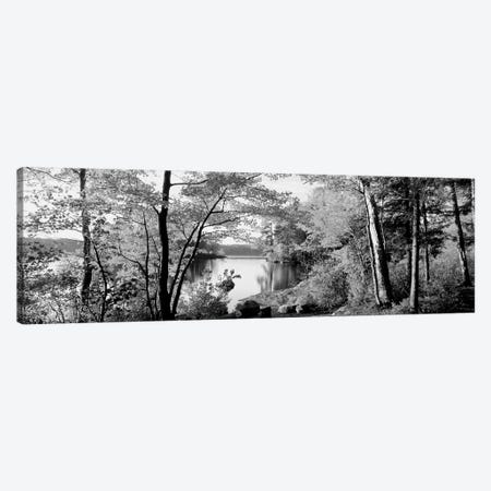 Trees At The Lakeside, Great Sacandaga Lake, Adirondack Mountains, New York State, USA Canvas Print #PIM15258} by Panoramic Images Canvas Art Print