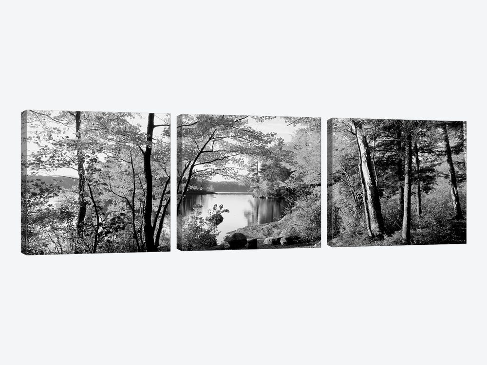 Trees At The Lakeside, Great Sacandaga Lake, Adirondack Mountains, New York State, USA by Panoramic Images 3-piece Canvas Wall Art