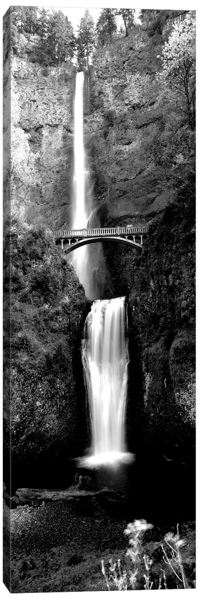 Waterfall In A Forest, Multnomah Falls, Columbia River Gorge, Oregon, USA Canvas Art Print - North America Art