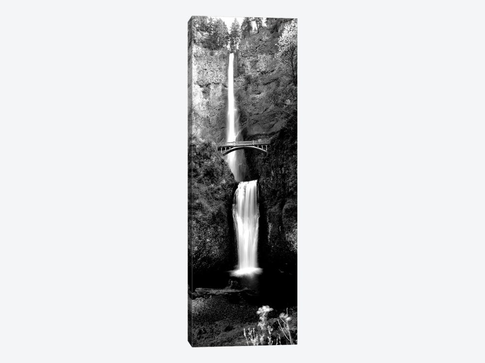 Waterfall In A Forest, Multnomah Falls, Columbia River Gorge, Oregon, USA by Panoramic Images 1-piece Canvas Artwork