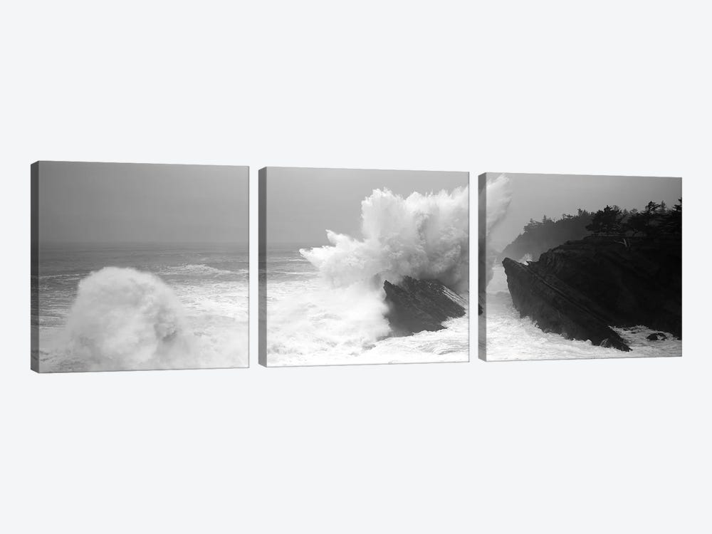 Waves Breaking On The Coast, Shore Acres State Park, Oregon, USA by Panoramic Images 3-piece Canvas Art Print