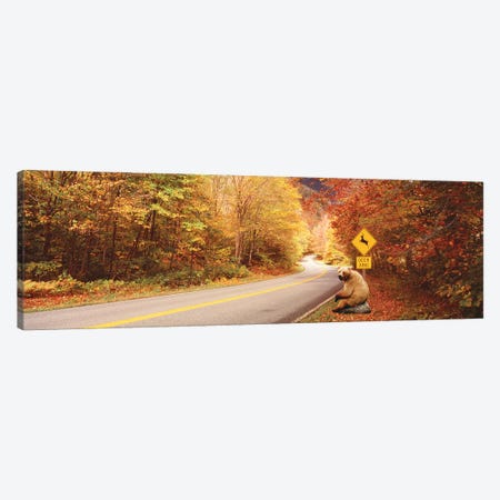 Autumn Road With Bear At Deer Crossing Sign, VT, USA Canvas Print #PIM15269} by Panoramic Images Canvas Artwork