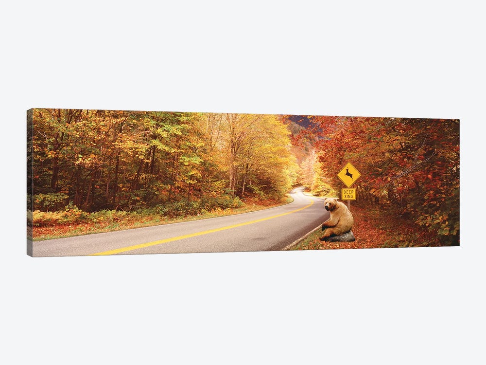 Autumn Road With Bear At Deer Crossing Sign, VT, USA by Panoramic Images 1-piece Canvas Artwork