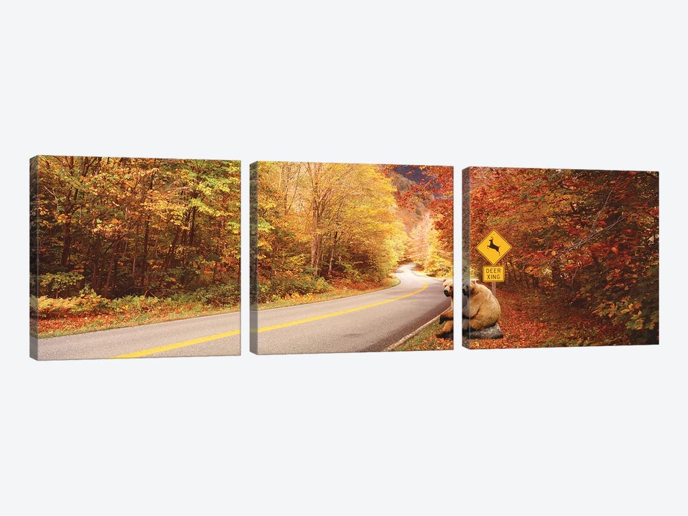 Autumn Road With Bear At Deer Crossing Sign, VT, USA by Panoramic Images 3-piece Canvas Artwork