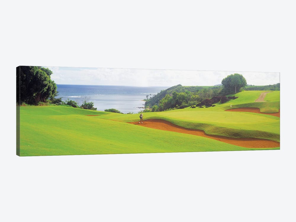 Princeville Golf Course, Kauai, HI, USA by Panoramic Images 1-piece Canvas Wall Art