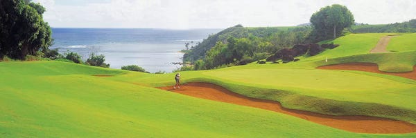 Kauai: Princeville Golf Course, Kauai, HI, USA by Panoramic Images