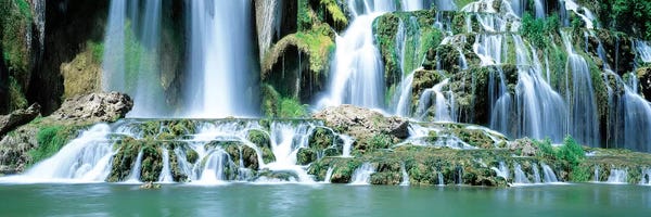 Moss: Snake River Waterfall Bonneville County ID USA by Panoramic Images
