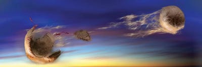 Baseball Coming Apart In Space by Panoramic Images multi panel art
