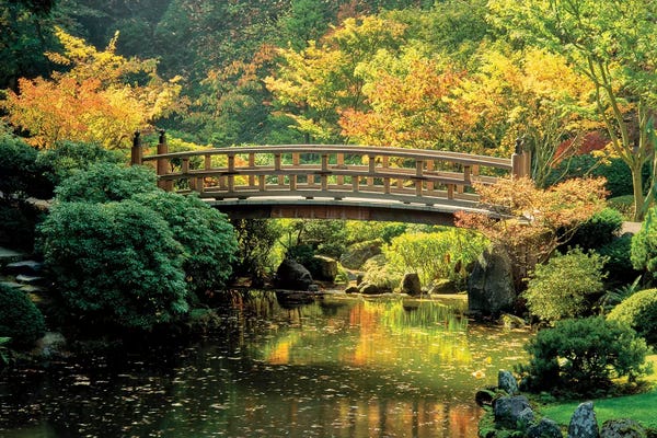 Oregon: "Autumn at the Moon Bridge", Japanese Garden, Portland, Oregon, USA by Panoramic Images