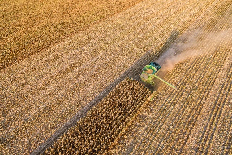 Aerial view of combine harvesting corn crop, Marion County, Illinois, USA