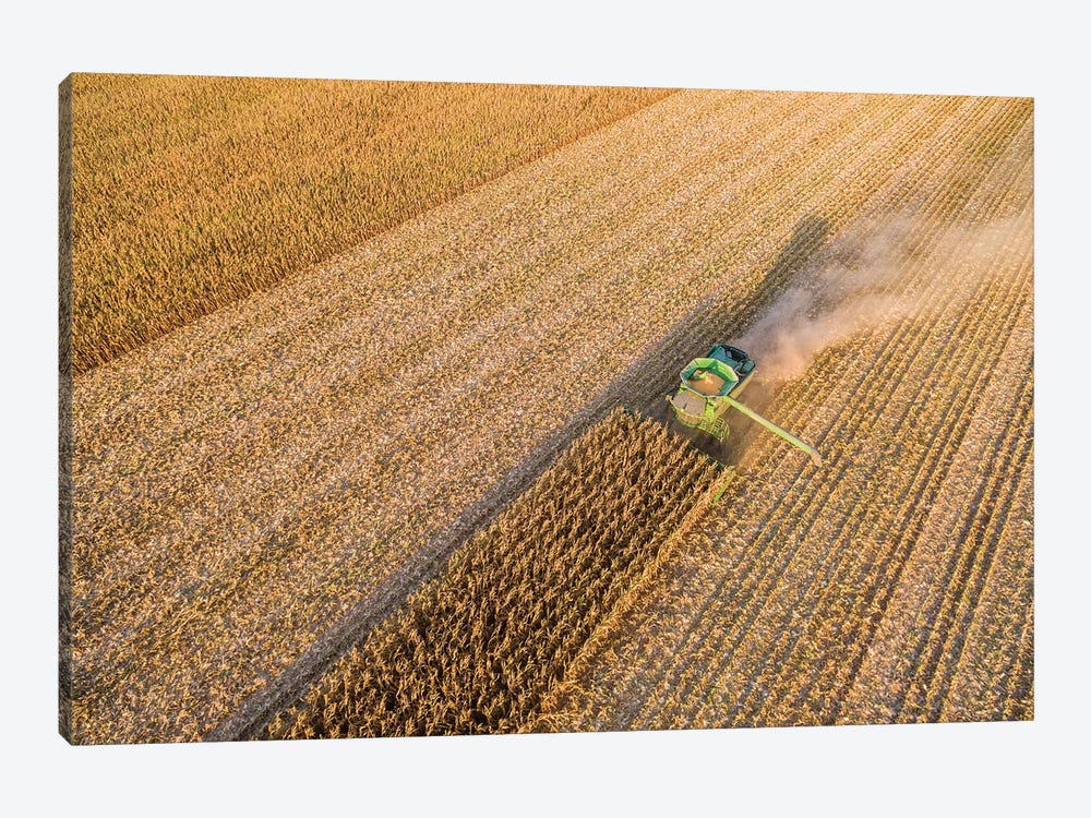 Aerial view of combine harvesting corn crop, Marion County, Illinois, USA by Panoramic Images 1-piece Canvas Art Print