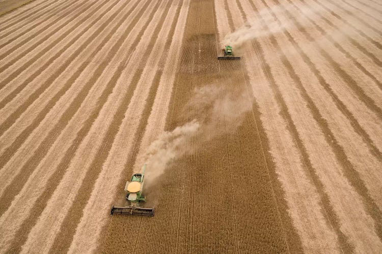 Aerial view of combine harvesting soybean crop, Marion County, Illinois, USA