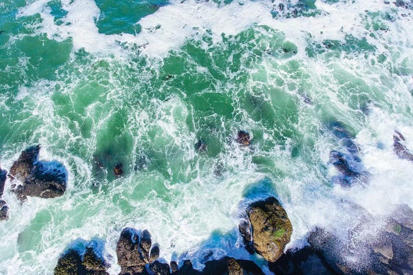 Oregon: Aerial view of the beach, Newport, Lincoln County, Oregon, USA by Panoramic Images