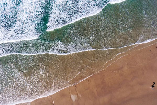 Oregon: Aerial view of the beach, Newport, Lincoln County, Oregon, USA by Panoramic Images