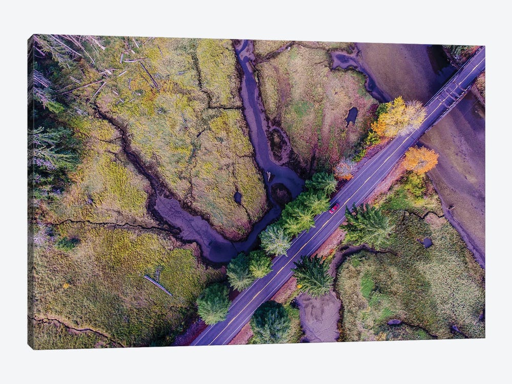 Aerial view of the Coastal Highway, HWY 101, Olympic Peninsula, Washington State, USA by Panoramic Images 1-piece Canvas Art Print