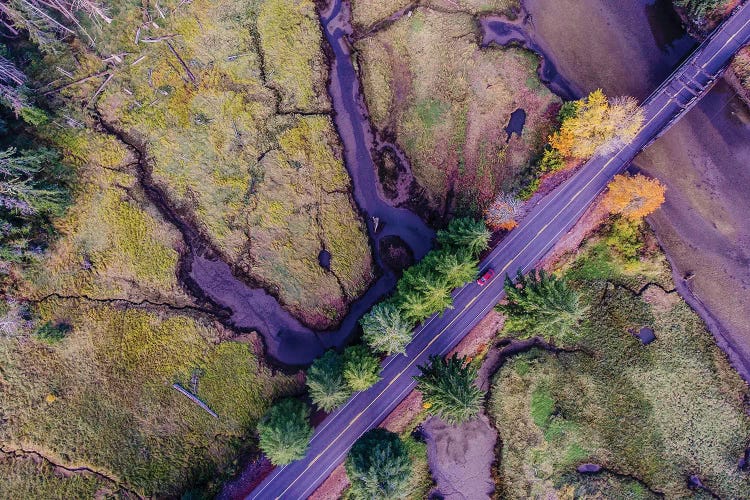 Aerial view of the Coastal Highway, HWY 101, Olympic Peninsula, Washington State, USA