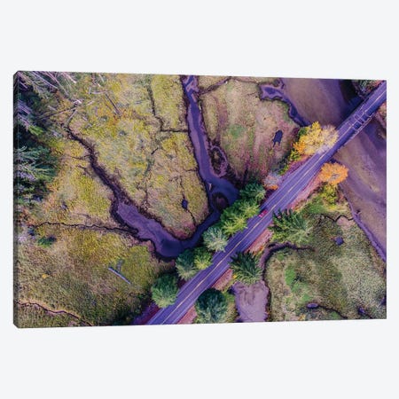 Aerial view of the Coastal Highway, HWY 101, Olympic Peninsula, Washington State, USA Canvas Print #PIM15354} by Panoramic Images Art Print