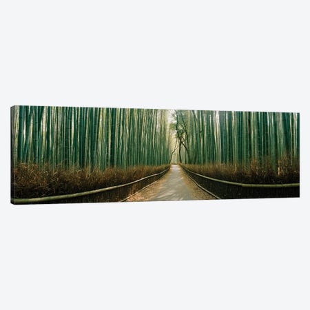 Arashiyama bamboo forest, Kyoto Prefecture, Kinki Region, Honshu, Japan Canvas Print #PIM15357} by Panoramic Images Art Print