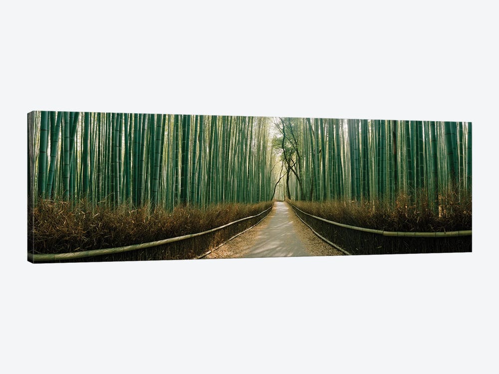 Arashiyama bamboo forest, Kyoto Prefecture, Kinki Region, Honshu, Japan by Panoramic Images 1-piece Canvas Wall Art