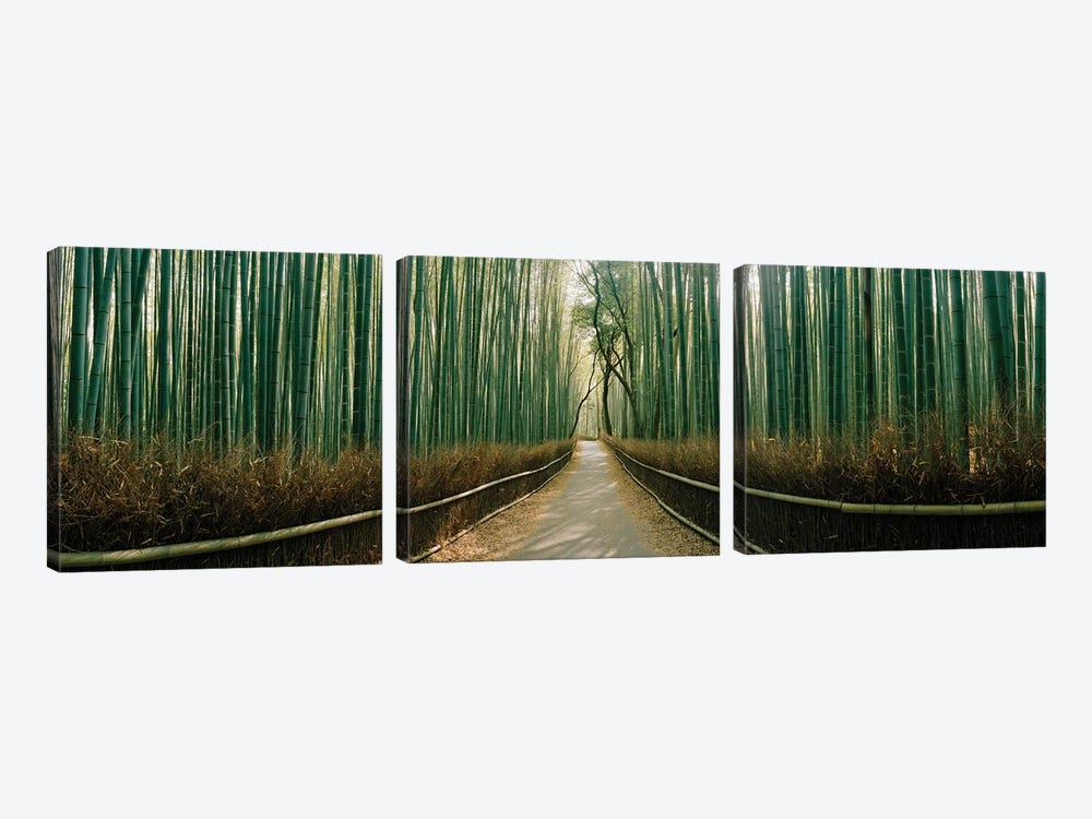 Arashiyama bamboo forest, Kyoto Prefecture, Kinki Region, Honshu, Japan by Panoramic Images 3-piece Canvas Art