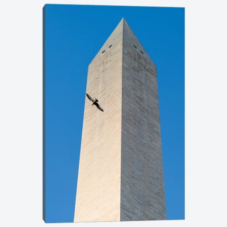 Bird flying around The Washington Monument on the National Mall in Washington DC, USA Canvas Print #PIM15384} by Panoramic Images Canvas Artwork