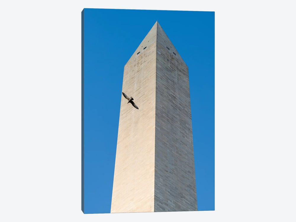 Bird flying around The Washington Monument on the National Mall in Washington DC, USA by Panoramic Images 1-piece Canvas Wall Art