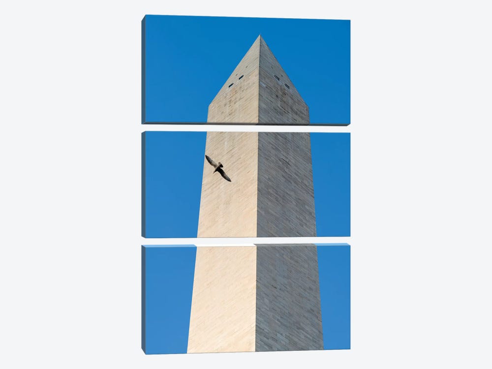 Bird flying around The Washington Monument on the National Mall in Washington DC, USA by Panoramic Images 3-piece Canvas Art