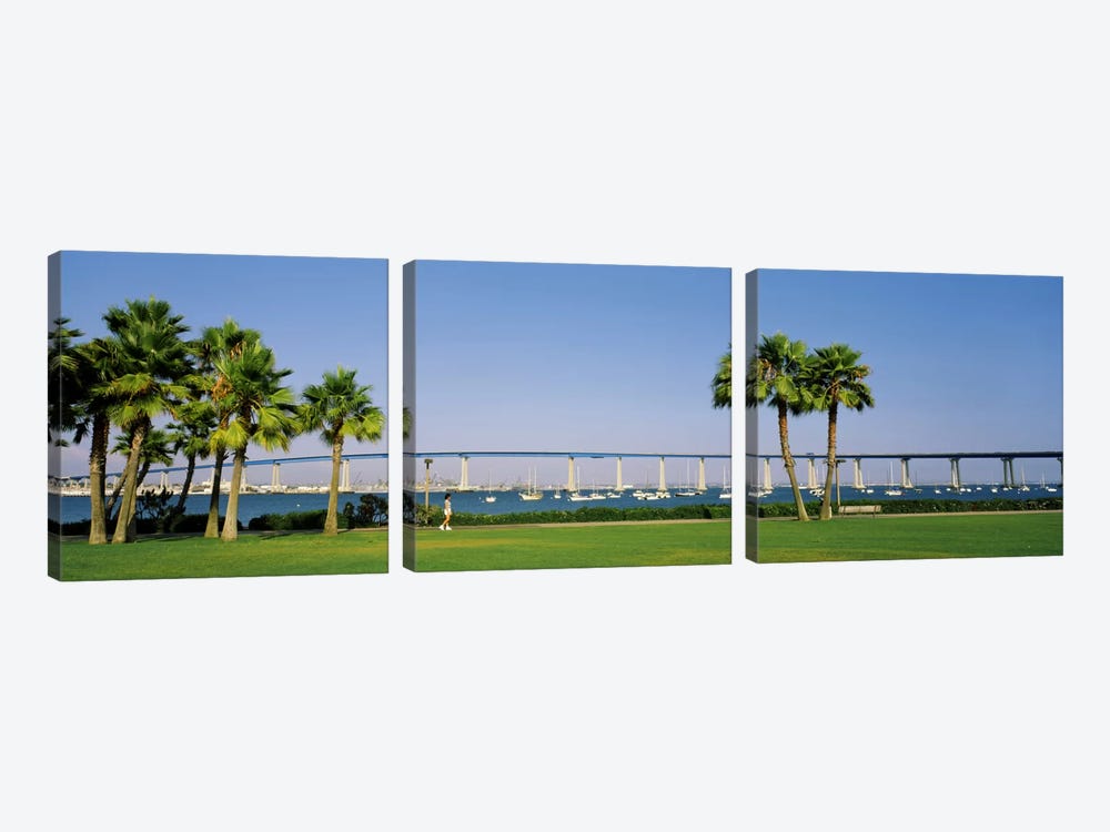 Palm trees on the coast with bridge in the background, Coronado Bay Bridge, San Diego, San Diego County, California, USA by Panoramic Images 3-piece Canvas Art Print