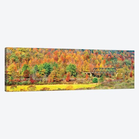 Cantilever bridge and autumnal trees in forest, Central Bridge, New York State, USA Canvas Print #PIM15398} by Panoramic Images Canvas Art