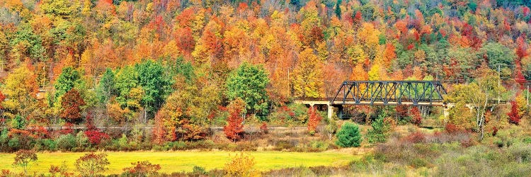 Cantilever bridge and autumnal trees in forest, Central Bridge, New York State, USA