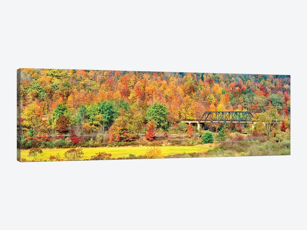 Cantilever bridge and autumnal trees in forest, Central Bridge, New York State, USA by Panoramic Images 1-piece Art Print
