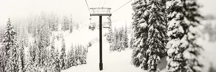 Chair lift and snowy evergreen trees at Stevens Pass, Washington State, USA