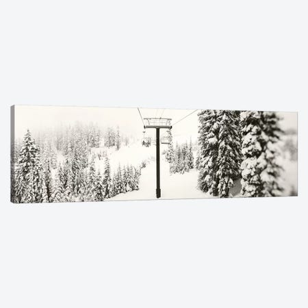 Chair lift and snowy evergreen trees at Stevens Pass, Washington State, USA Canvas Print #PIM15403} by Panoramic Images Canvas Artwork