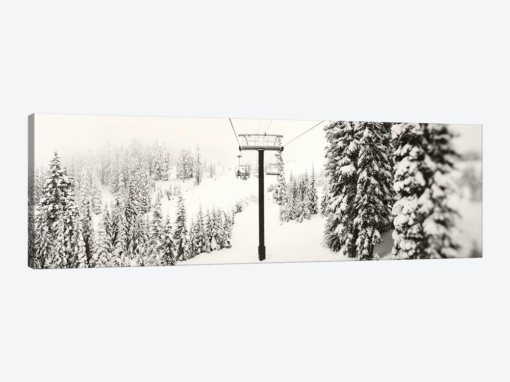 Chair lift and snowy evergreen trees at Stevens Pass, Washington State, USA by Panoramic Images 1-piece Canvas Art